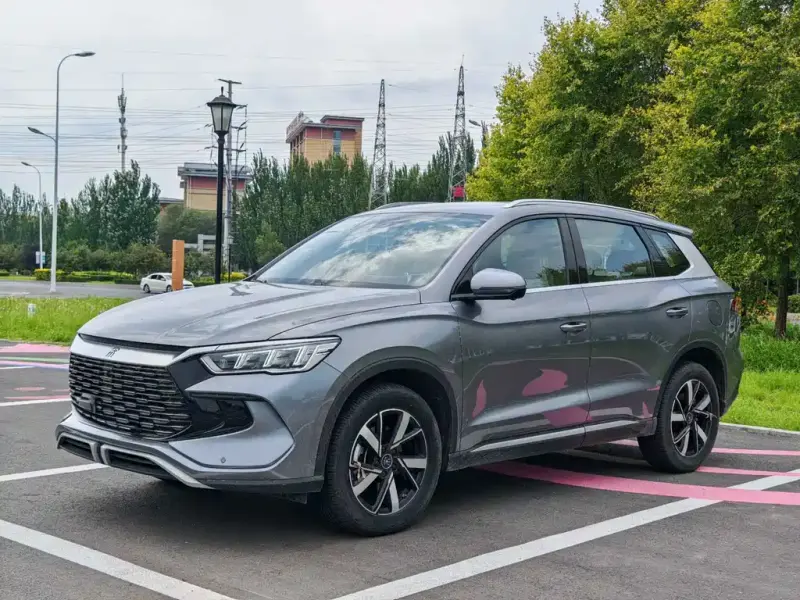 BYD Pro New Energy, 2024