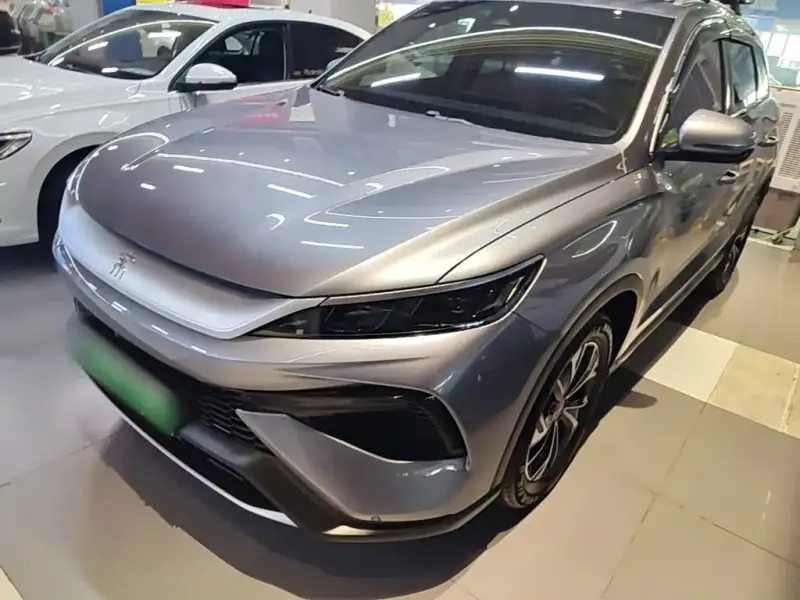 BYD Pro New Energy, 2025