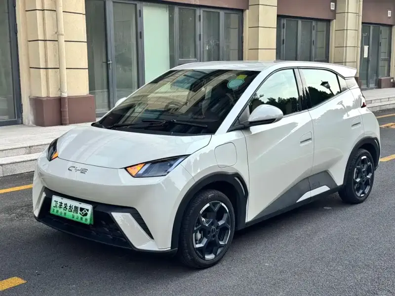 BYD Seagull, 2024