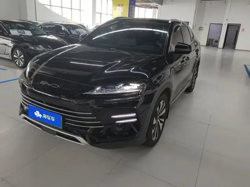 BYD PLUS New Energy, 2024