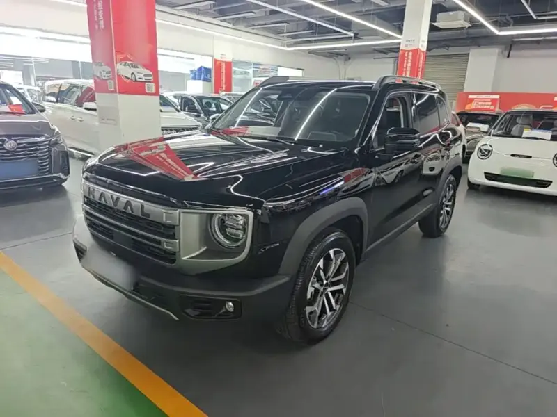 Haval Big Dog, 2024