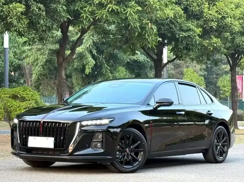 Hongqi H5, 2024