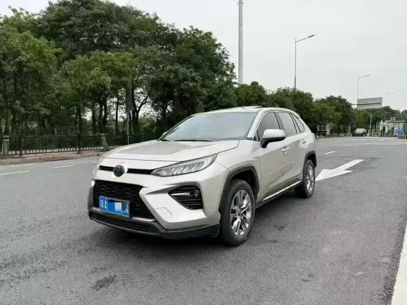 Toyota Wildlander, 2020