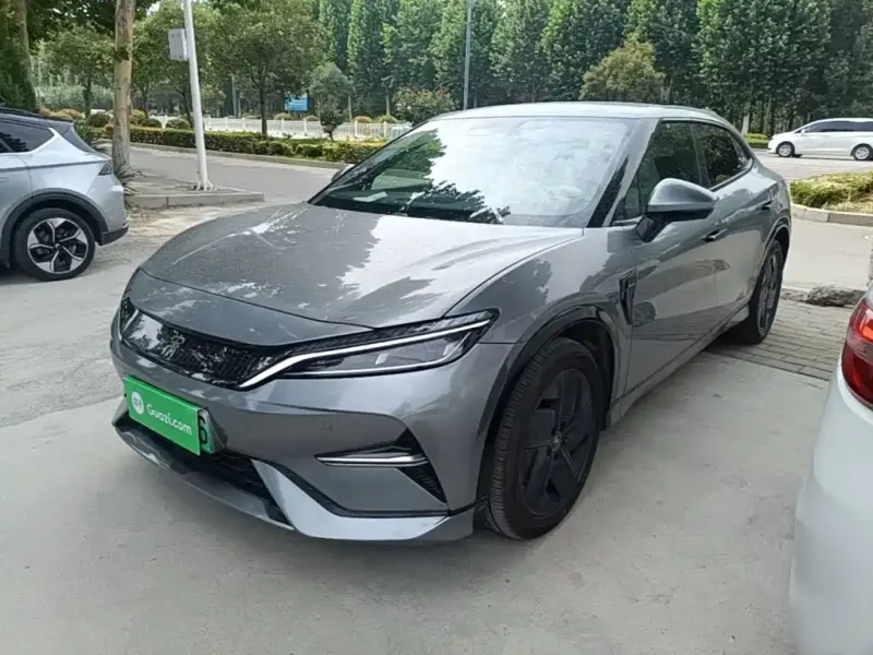 BYD L EV, 2024
