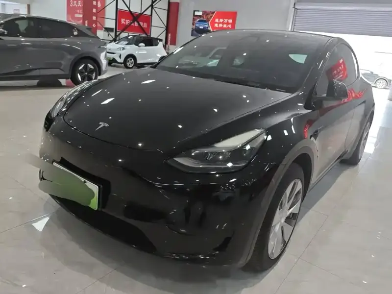 Tesla Model 3, 2021