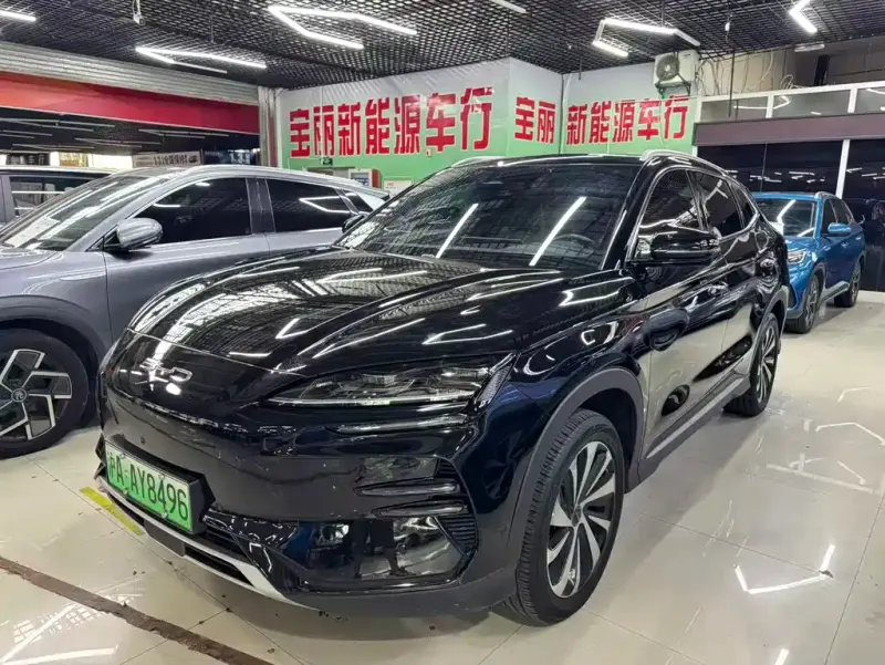 BYD PLUS New Energy, 2024