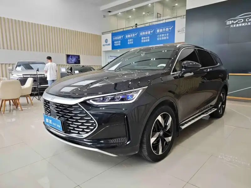BYD Tang New Energy, 2024