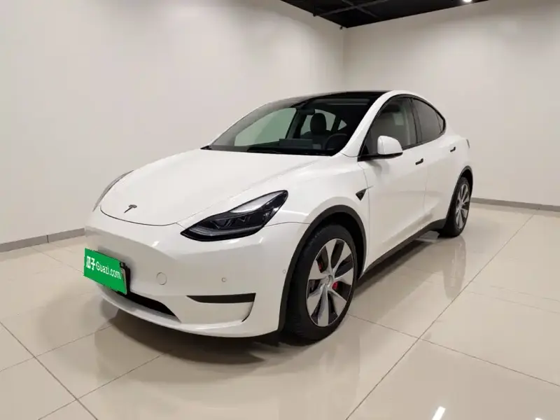 Tesla Model Y, 2021