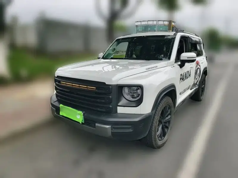 Haval Menglong New Energy, 2024