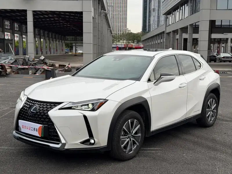 Lexus UX New Energy, 2021