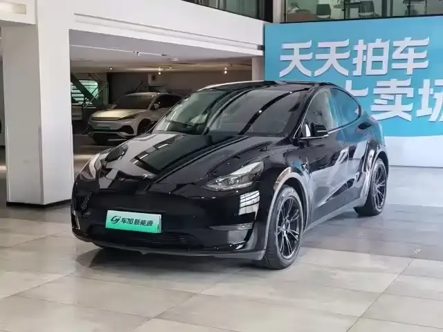 Tesla Model Y, 2021