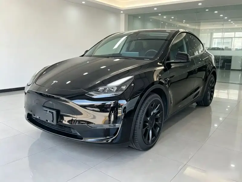 Tesla Model Y, 2021