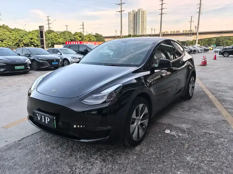 Tesla Model Y, 2021