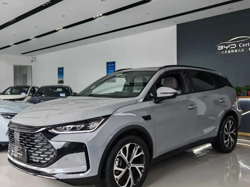 BYD Tang New Energy, 2025