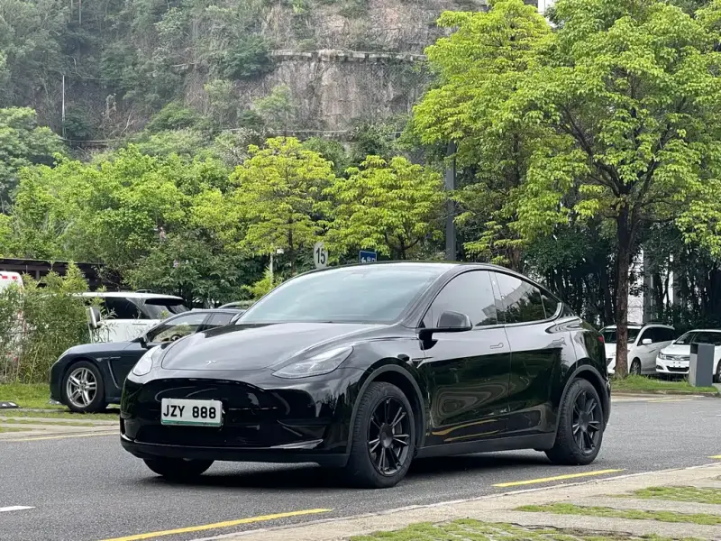 Tesla Model Y, 2023