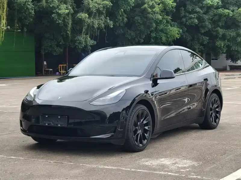 Tesla Model Y, 2022