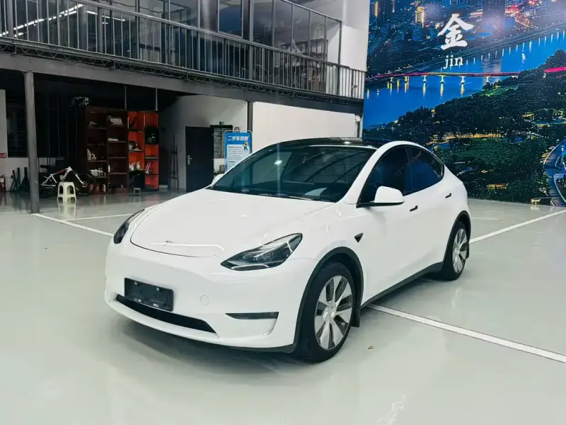 Tesla Model Y, 2022