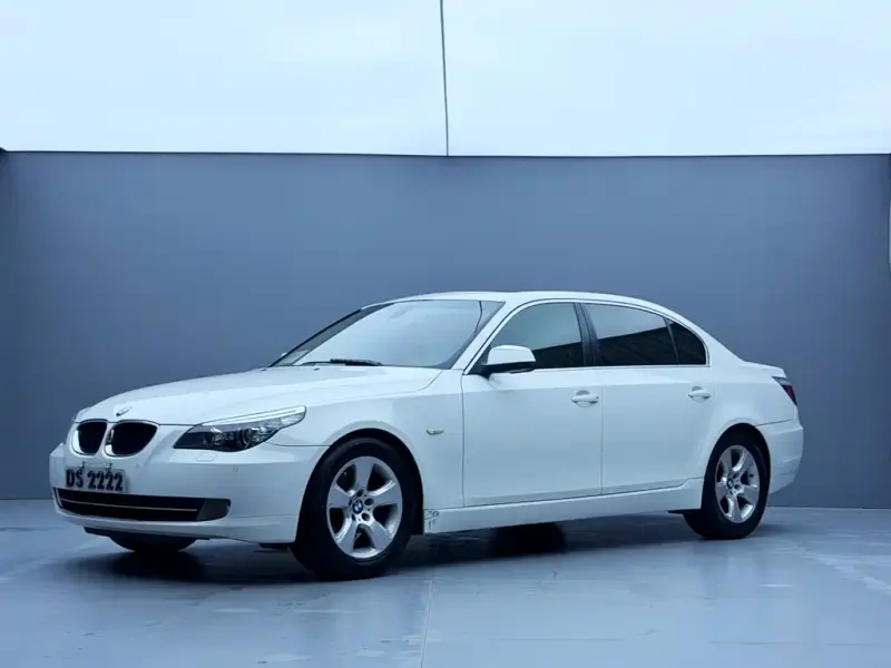 BMW 5 Series, 2010