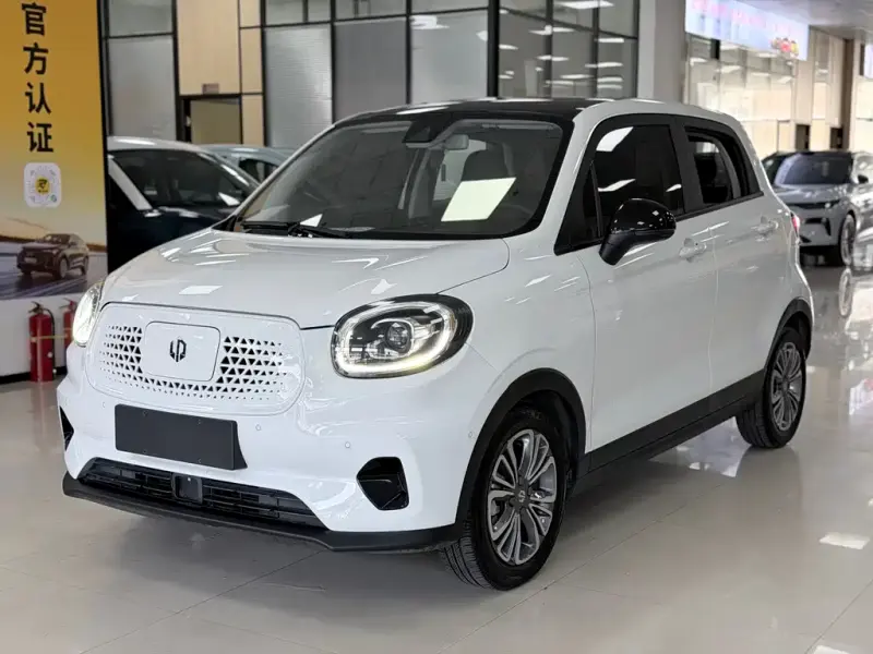 Leapmotor T03, 2021