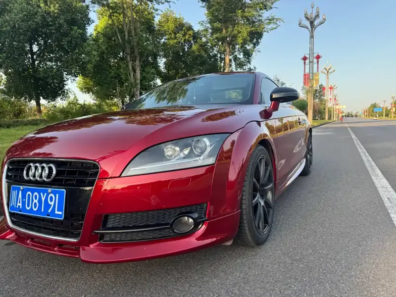 Audi TT, 2010