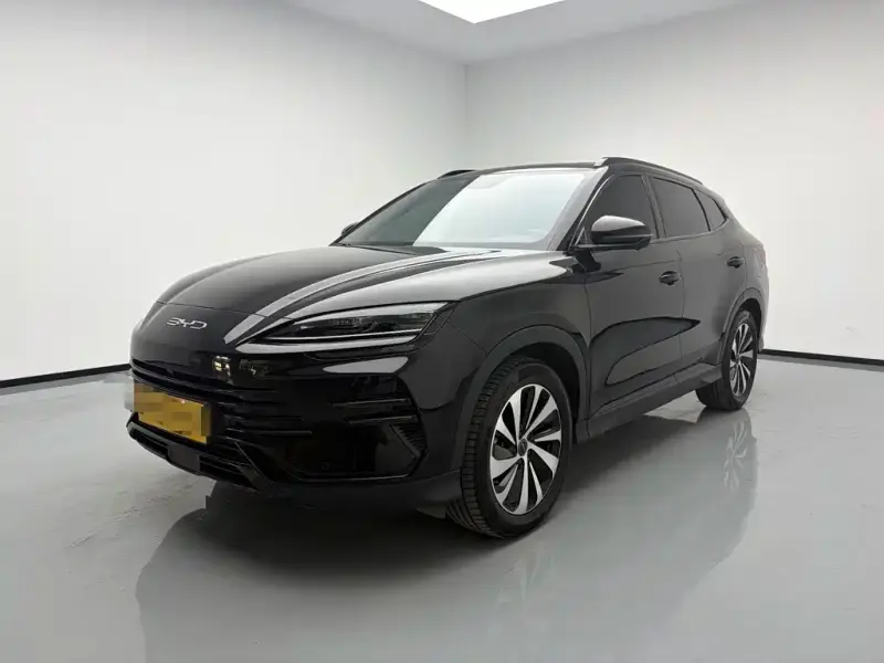 BYD PLUS New Energy, 2024