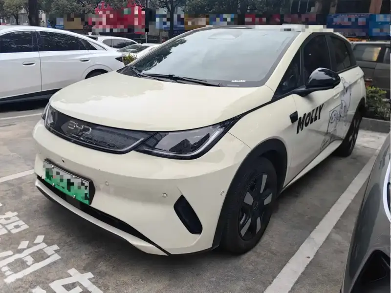 BYD Dolphin, 2025