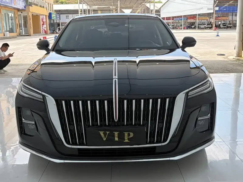 Hongqi H5, 2024