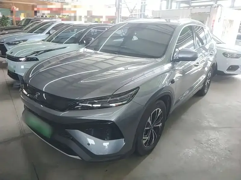 BYD Pro New Energy, 2025