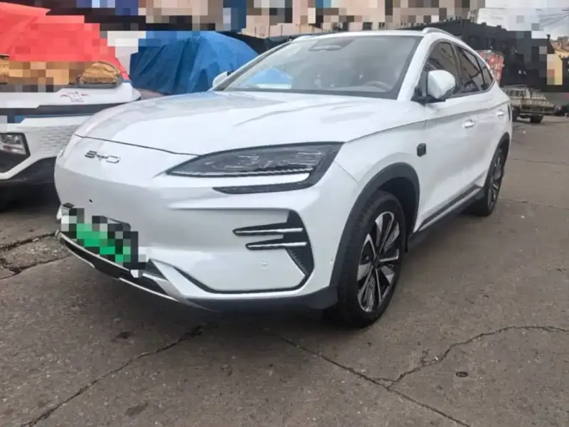 BYD PLUS New Energy, 2026