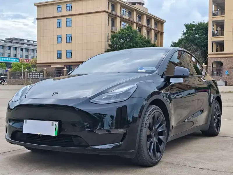 Tesla Model Y, 2021