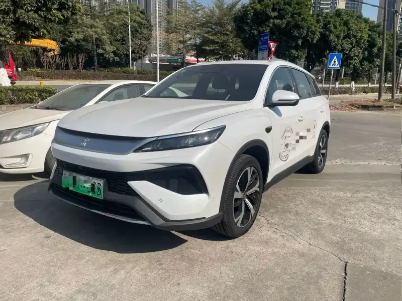 BYD Pro New Energy, 2025