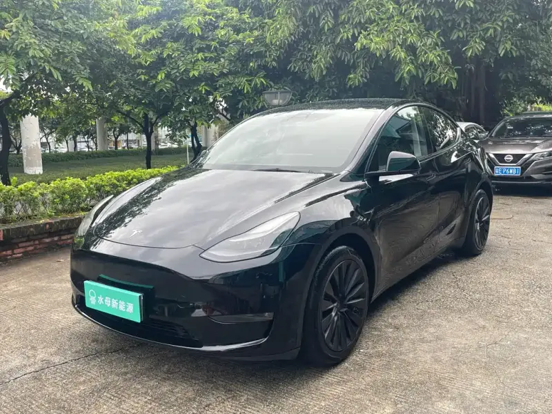 Tesla Model Y, 2021