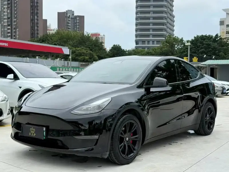 Tesla Model Y, 2021