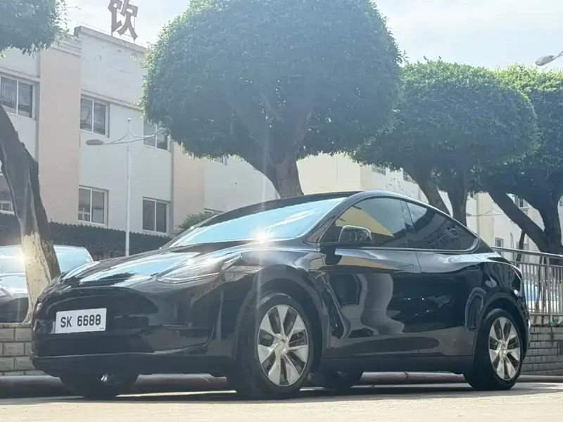Tesla Model Y, 2022