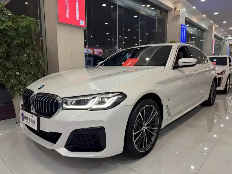 BMW 5 Series, 2021