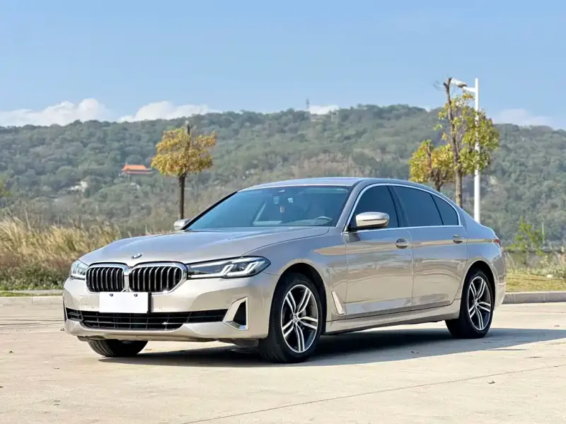 BMW 5 Series, 2021