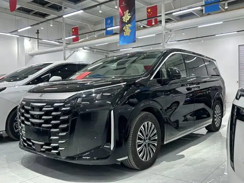 BYD Xia, 2025