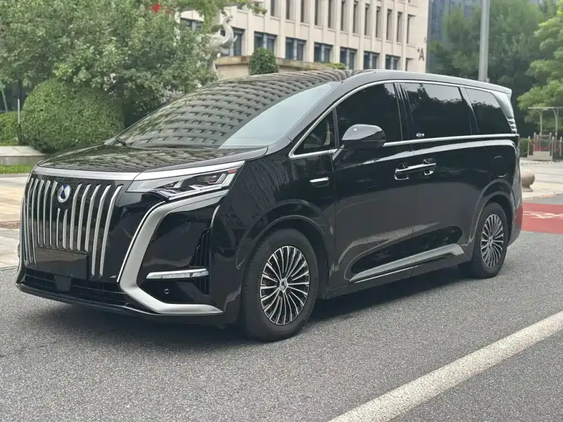 Denza D9, 2025