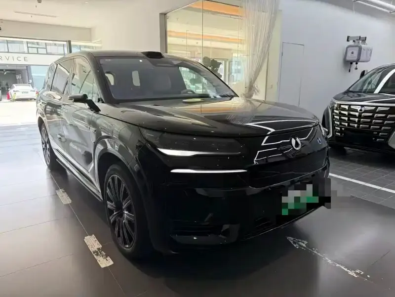 Denza N9, 2025