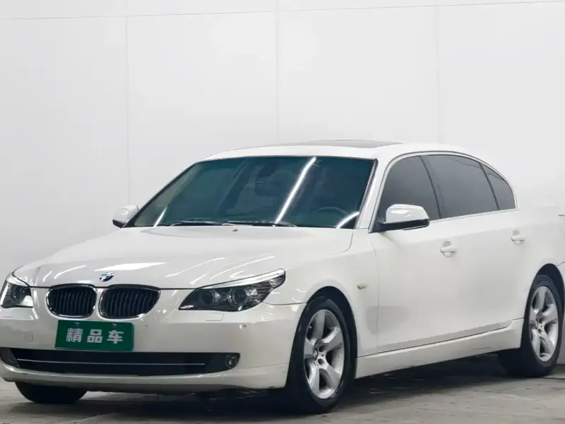 BMW 5 Series, 2010