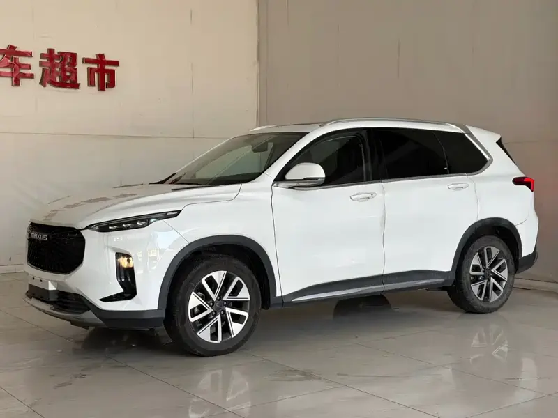 Maxus D60, 2020