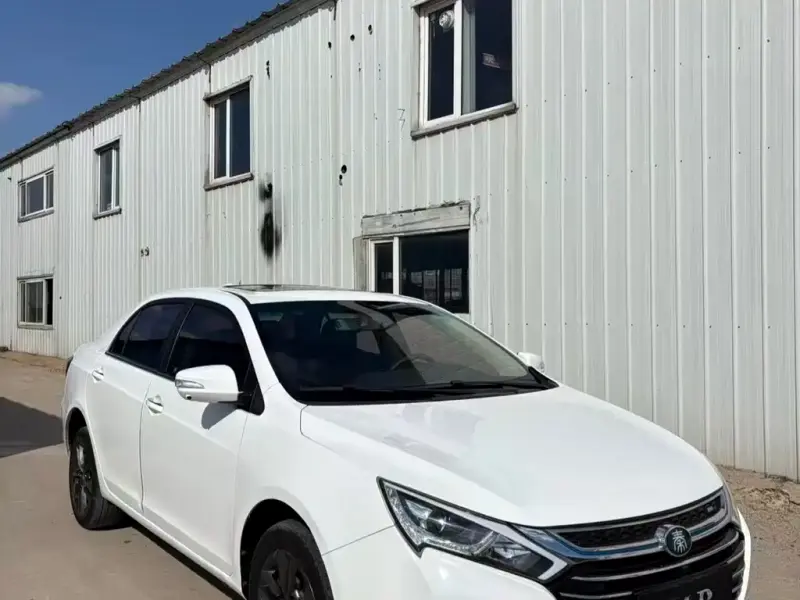 BYD Qin NEV, 2019