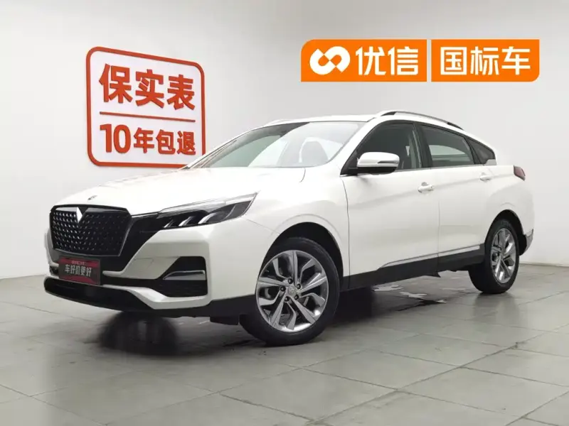 Venucia T90, 2019