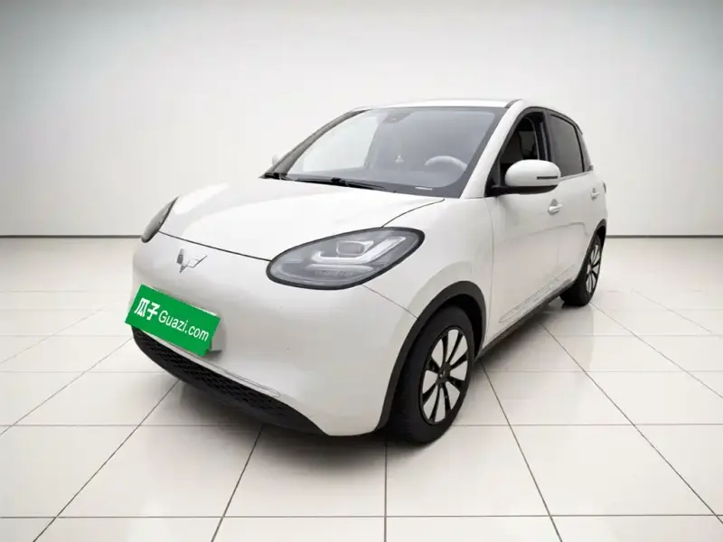 Wuling Bingo, 2023