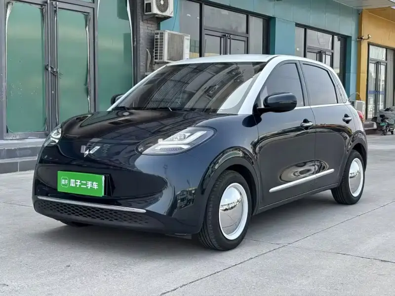 Wuling Bingo, 2023