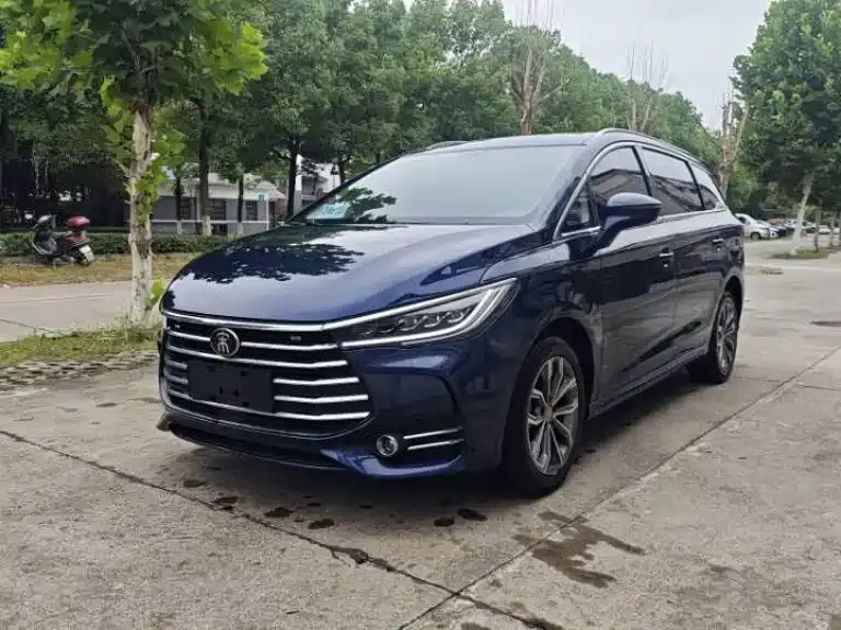 BYD MAX, 2020