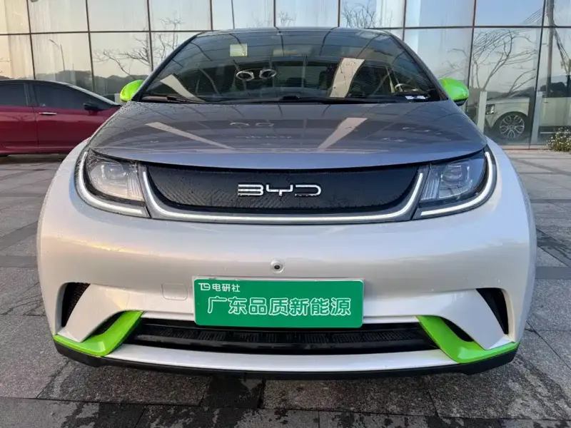 BYD Dolphin, 2021