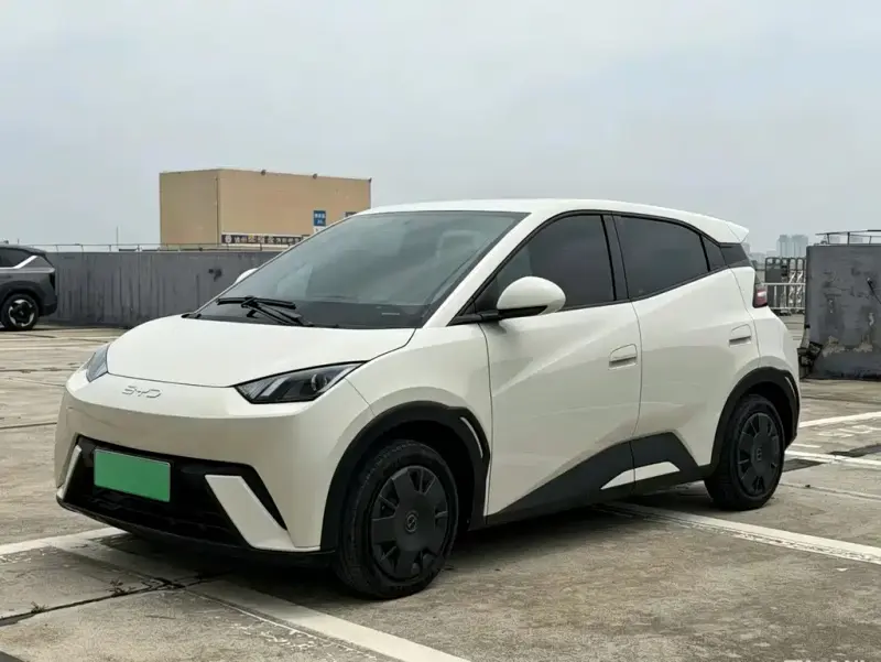 BYD Seagull, 2024