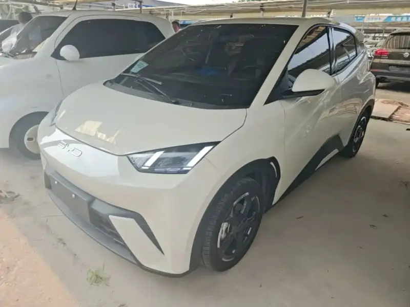 BYD Seagull, 2023