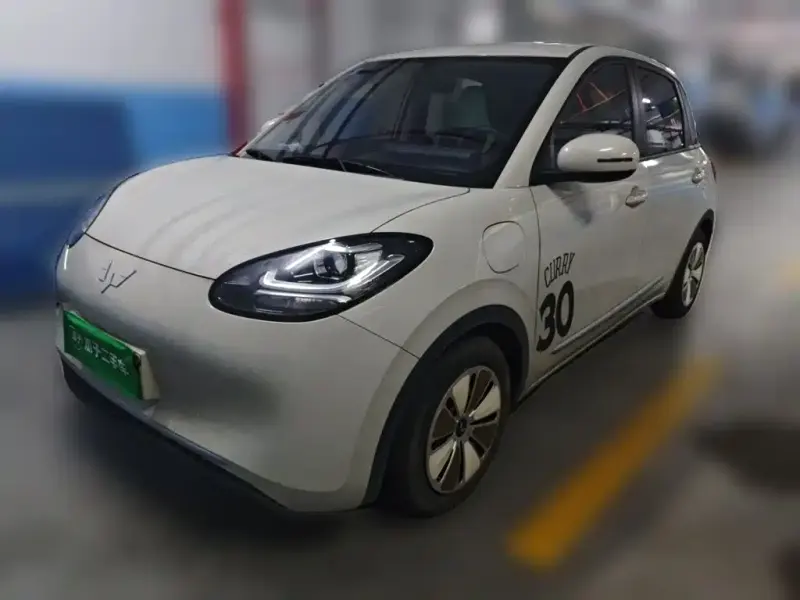 Wuling Bingo, 2023